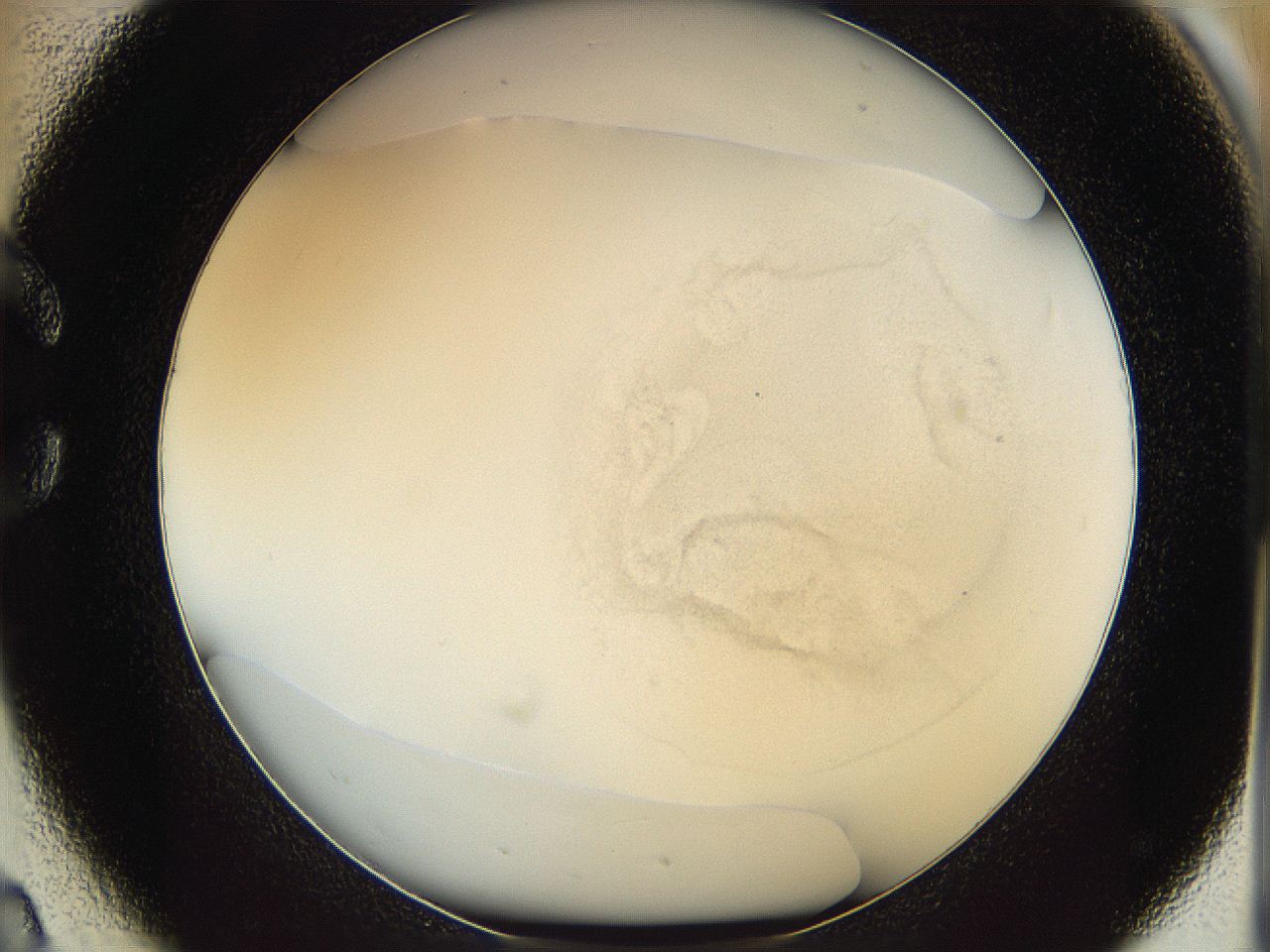 064f_C2_ImagerDefaults_0.jpg