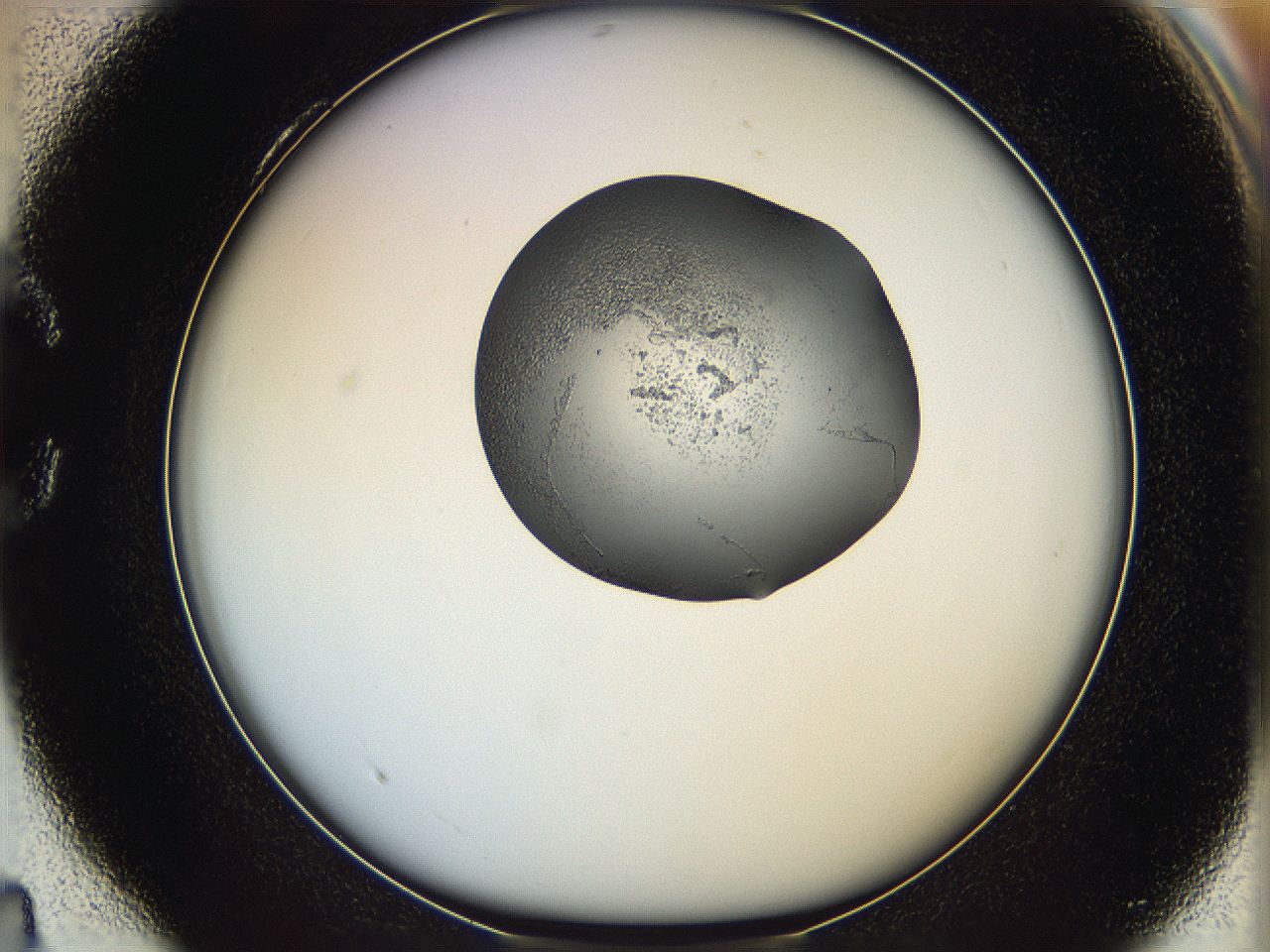 064f_C4_ImagerDefaults_5.jpg