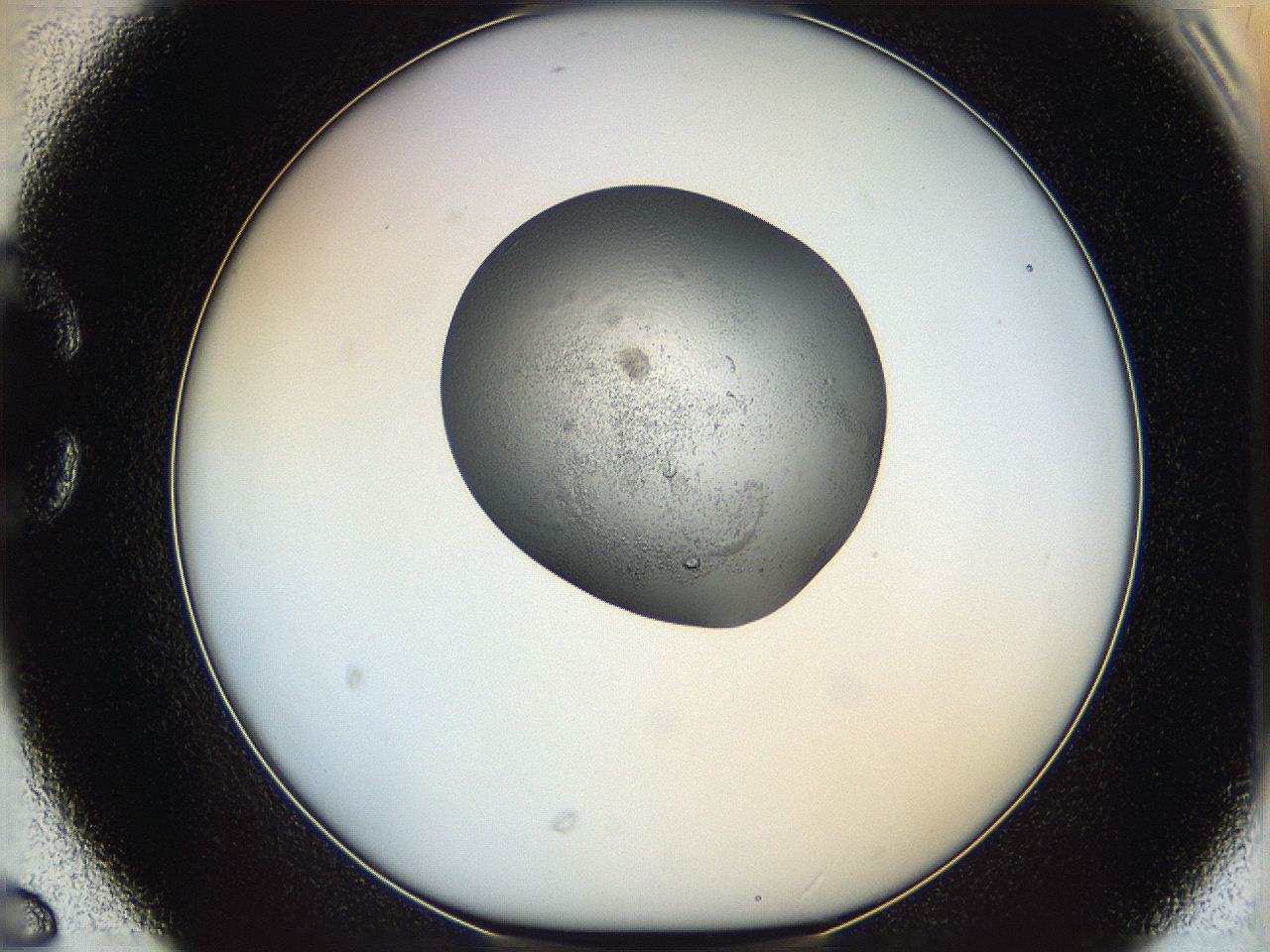 064f_C6_ImagerDefaults_5.jpg