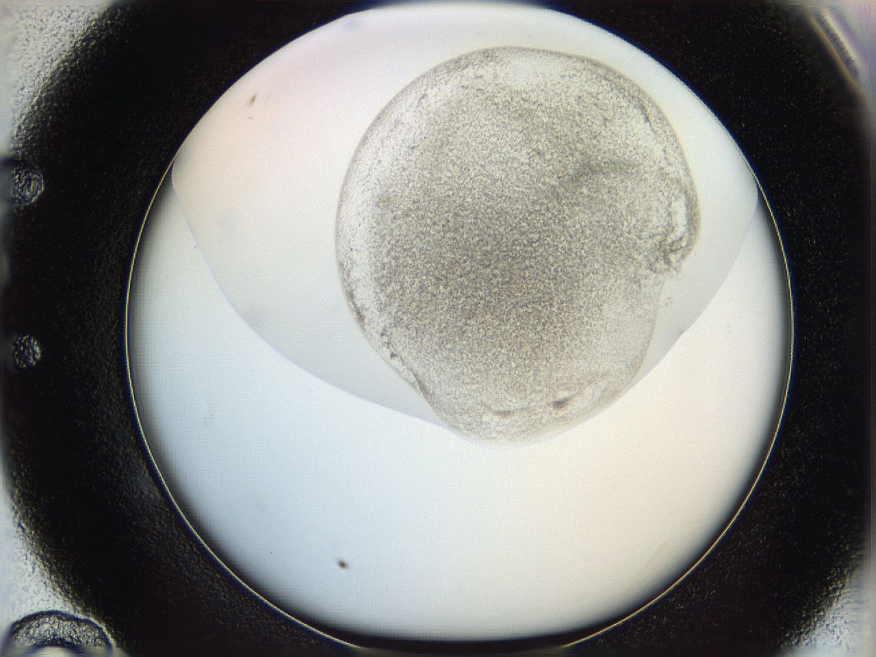 064f_E10_ImagerDefaults_1.jpg