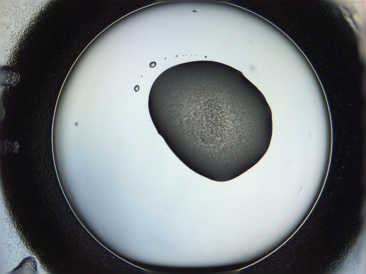 064f_E11_ImagerDefaults_1.jpg
