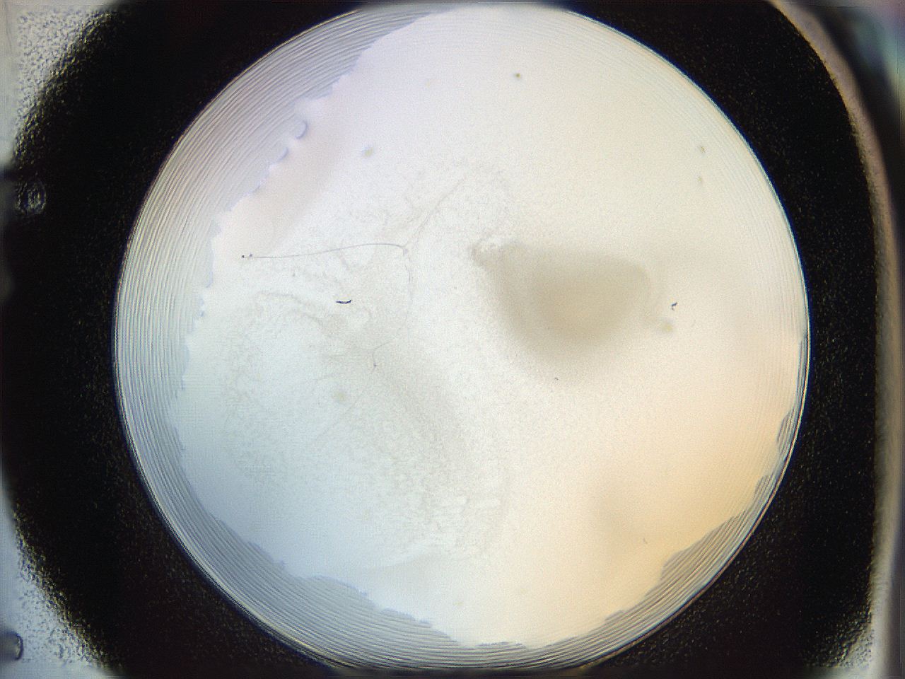 064f_F5_ImagerDefaults_1.jpg