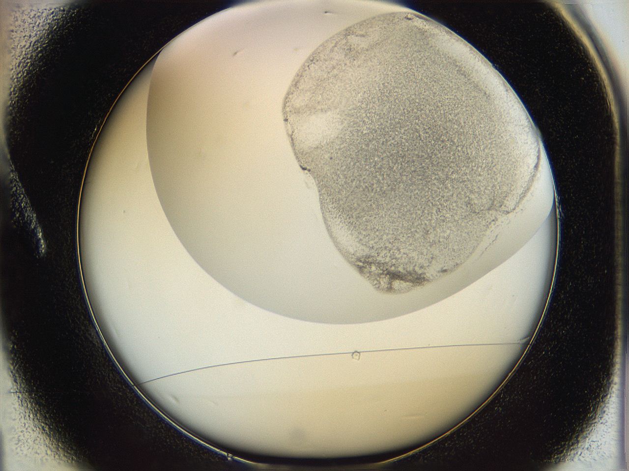 064f_A1_ImagerDefaults_1.jpg