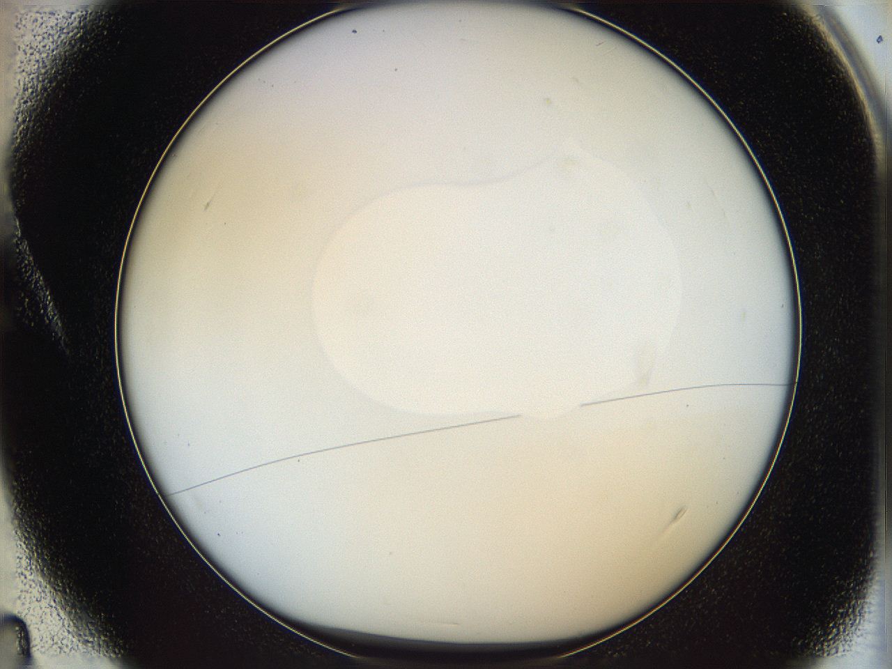 064f_A4_ImagerDefaults_0.jpg