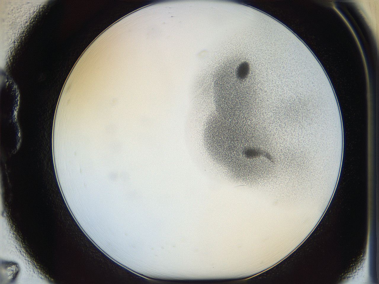 064f_B7_ImagerDefaults_1.jpg