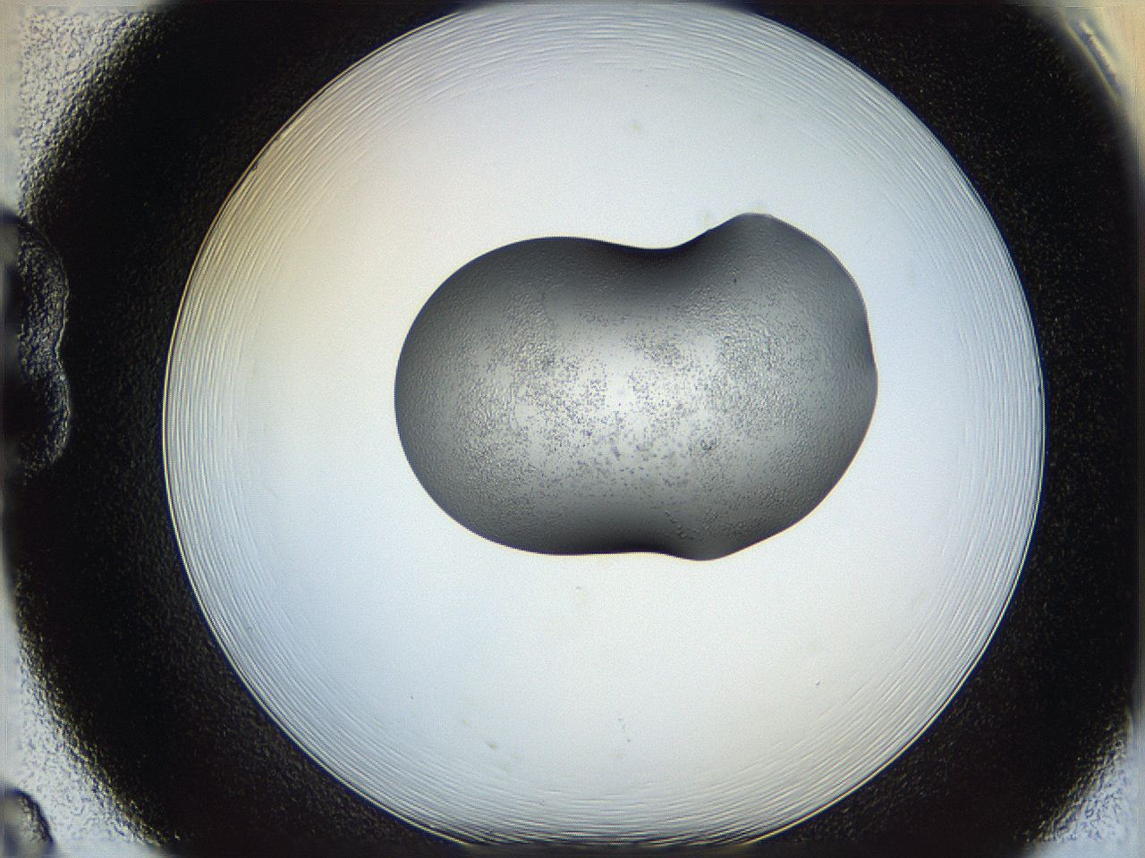 064f_B8_ImagerDefaults_5.jpg