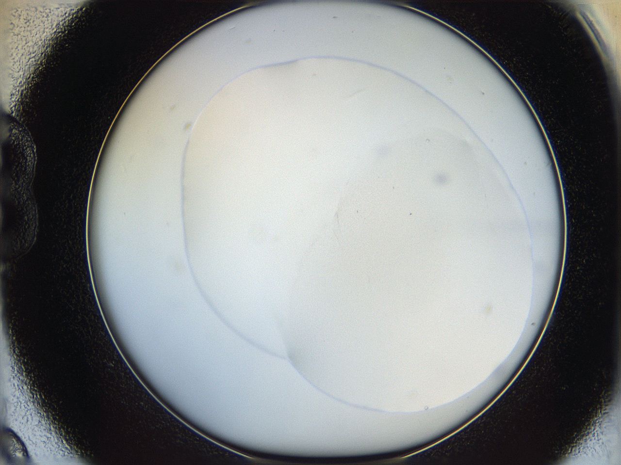 064f_B9_ImagerDefaults_0.jpg