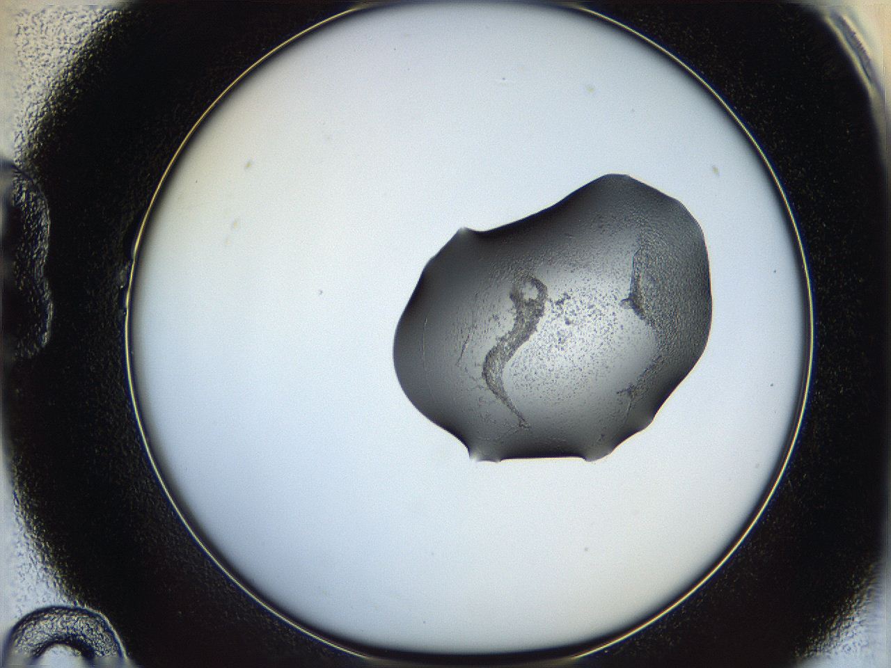 064f_B10_ImagerDefaults_1.jpg