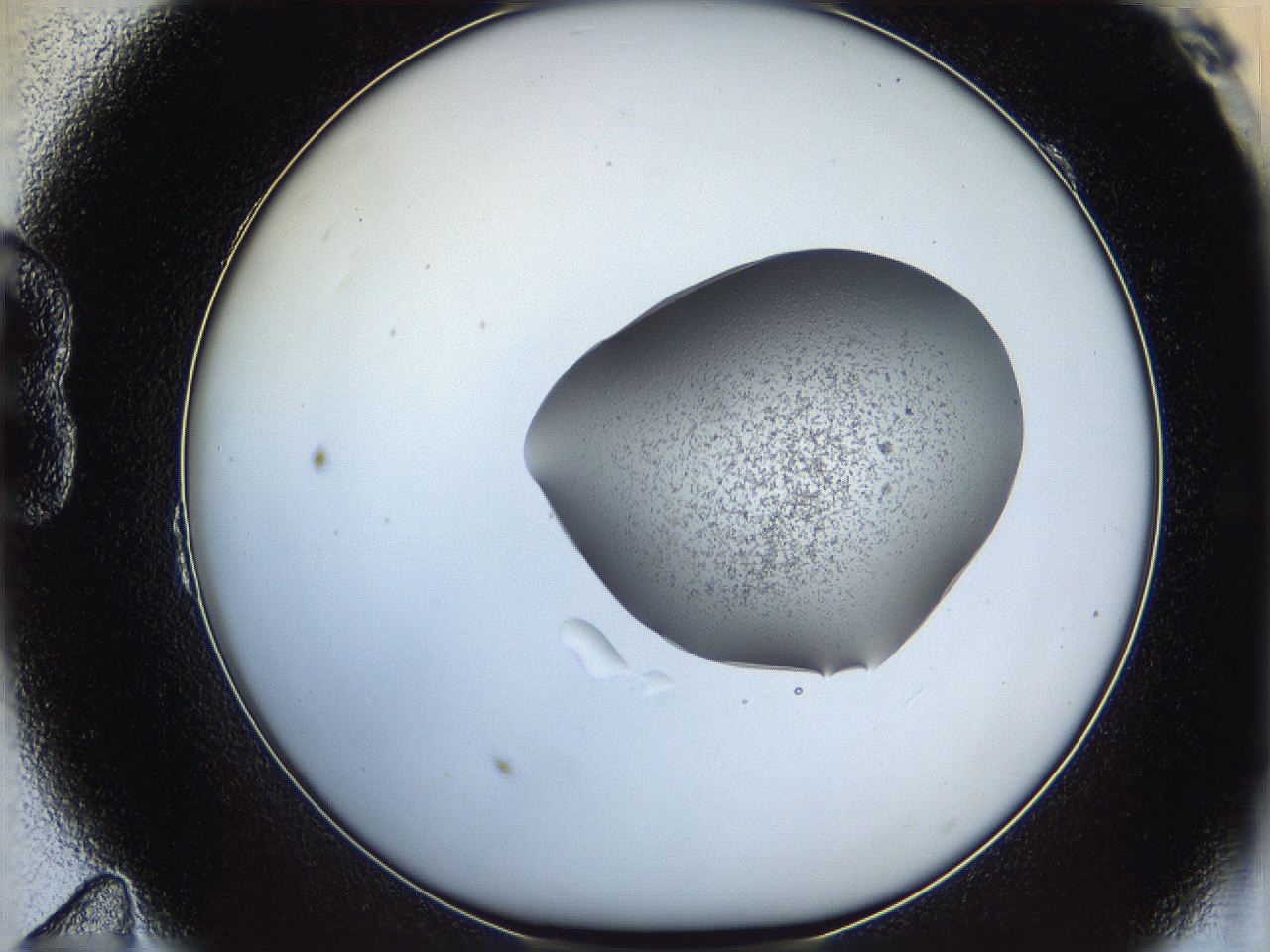 064f_B11_ImagerDefaults_1.jpg