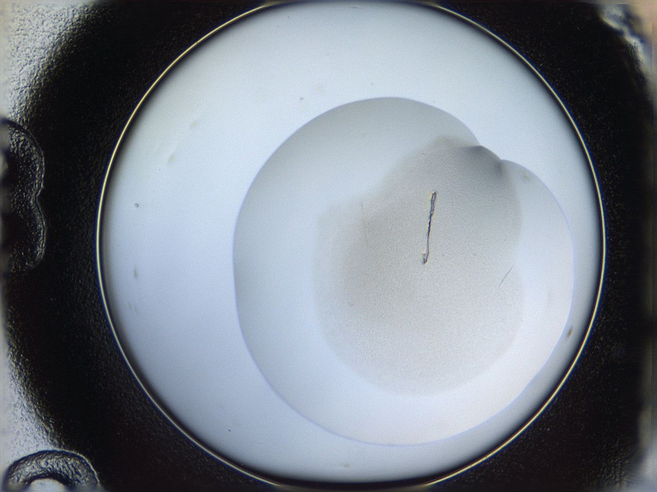 064f_B12_ImagerDefaults_1.jpg