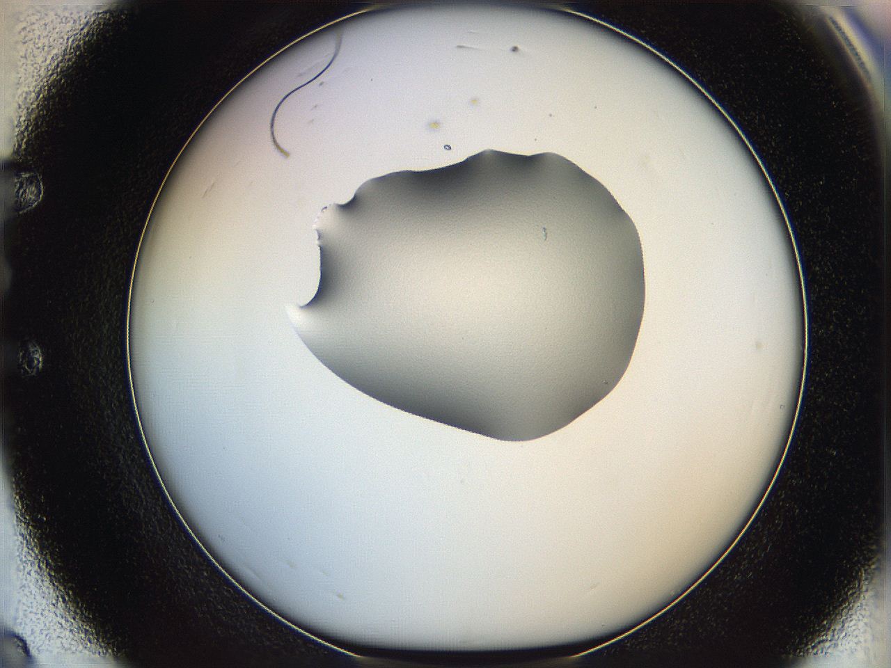064f_E8_ImagerDefaults_0.jpg