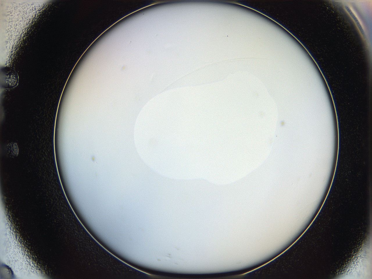 064f_E9_ImagerDefaults_0.jpg