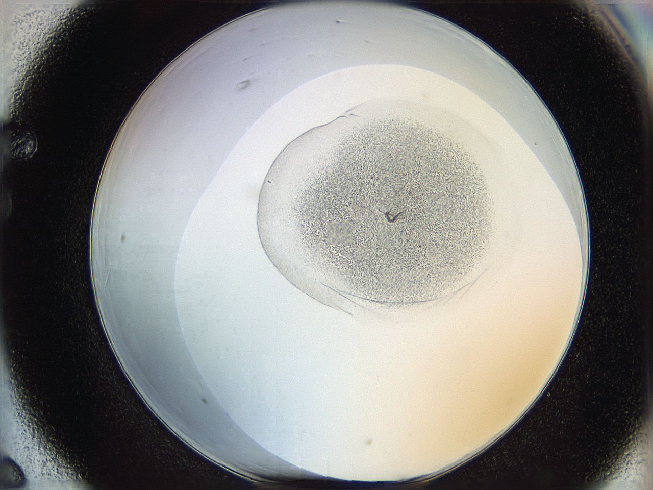 064f_F6_ImagerDefaults_1.jpg