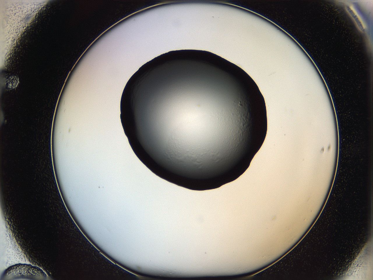 064f_F10_ImagerDefaults_0.jpg