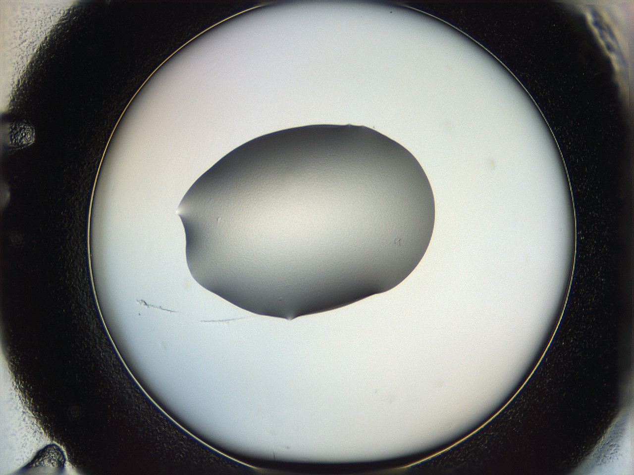 064f_F11_ImagerDefaults_0.jpg