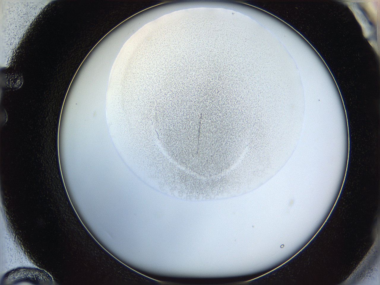 064f_F12_ImagerDefaults_1.jpg