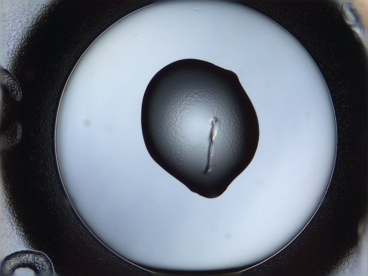 064f_C12_ImagerDefaults_5.jpg