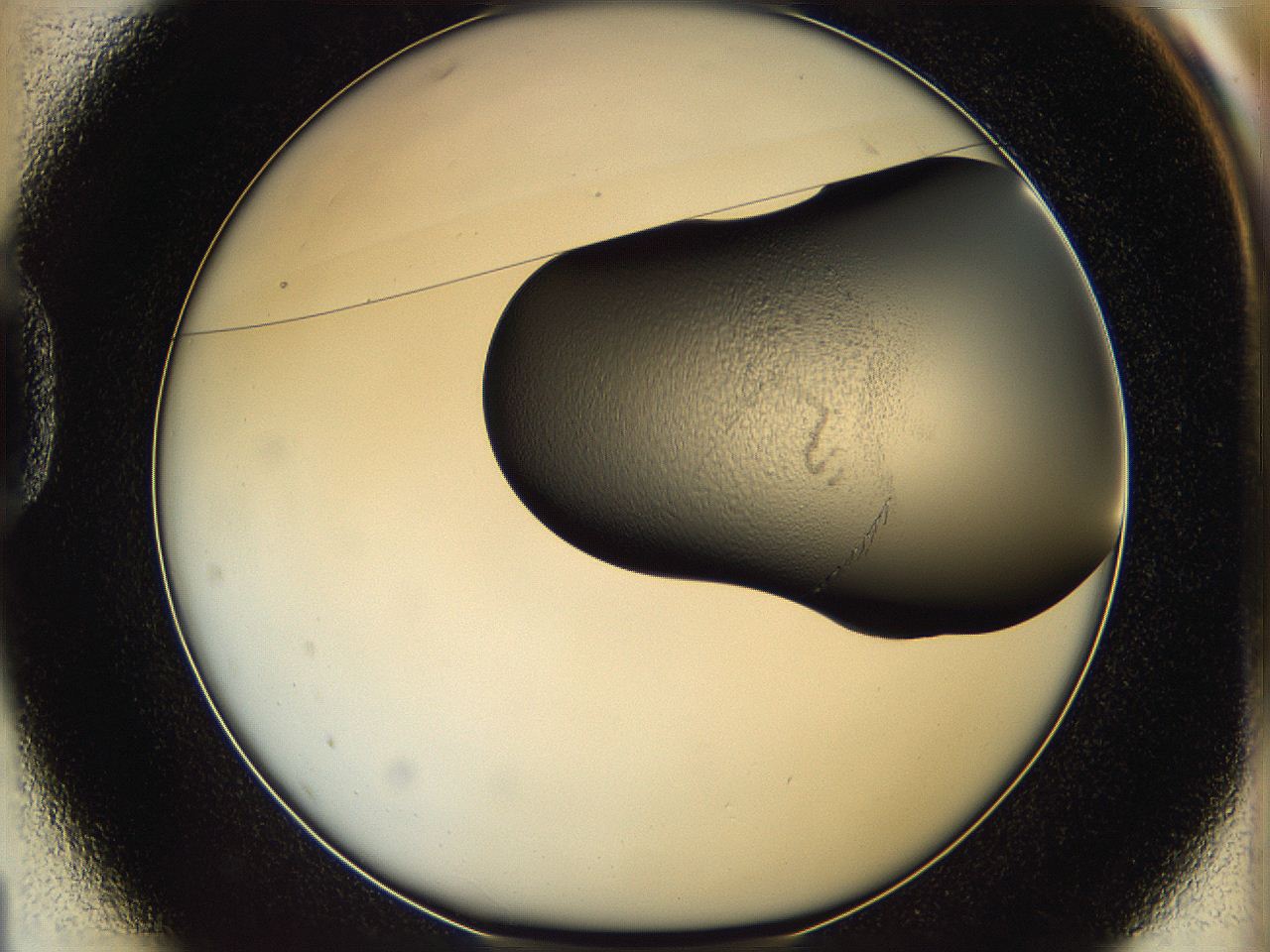 064f_D1_ImagerDefaults_5.jpg