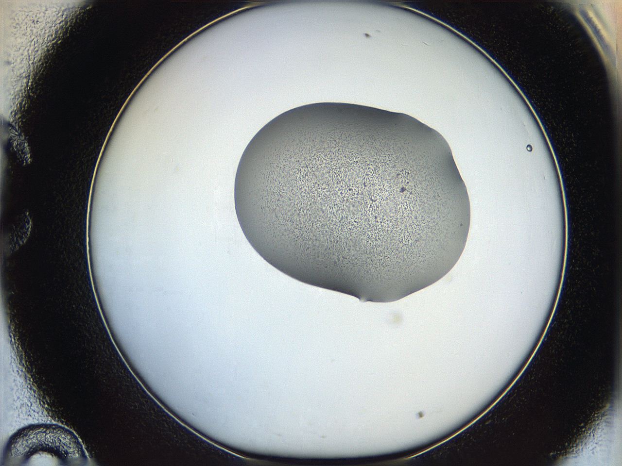 064f_C10_ImagerDefaults_1.jpg