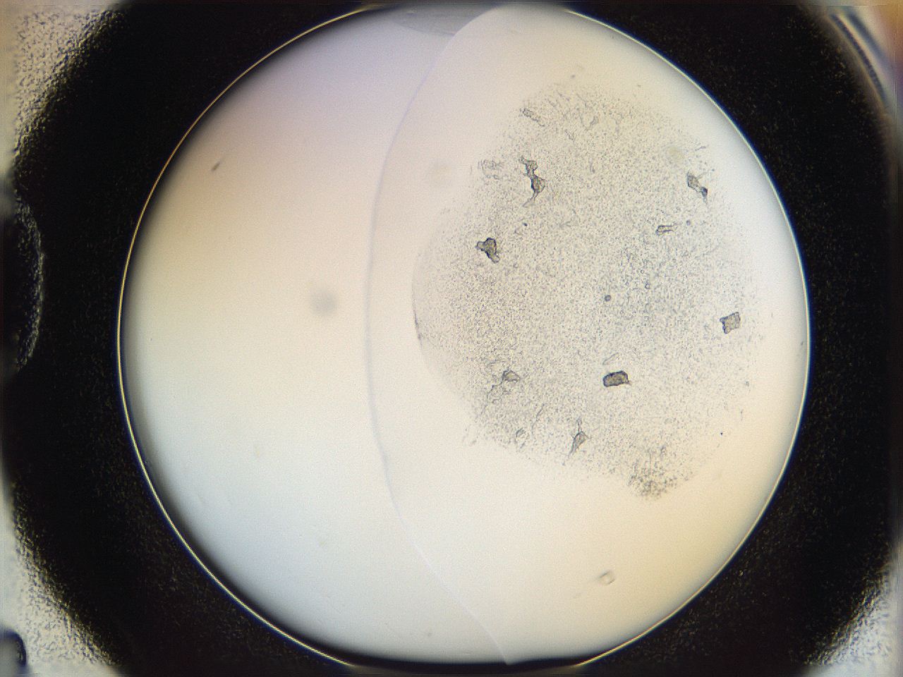 064f_D4_ImagerDefaults_5.jpg