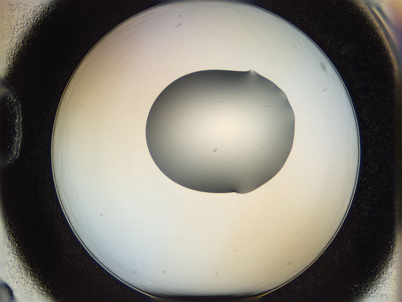 064f_D3_ImagerDefaults_0.jpg
