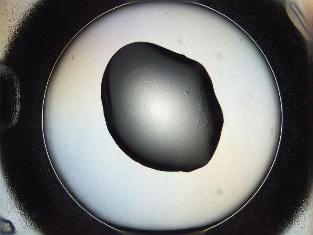 064f_D6_ImagerDefaults_0.jpg
