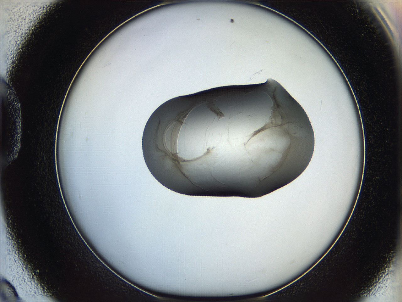 064f_D9_ImagerDefaults_3.jpg
