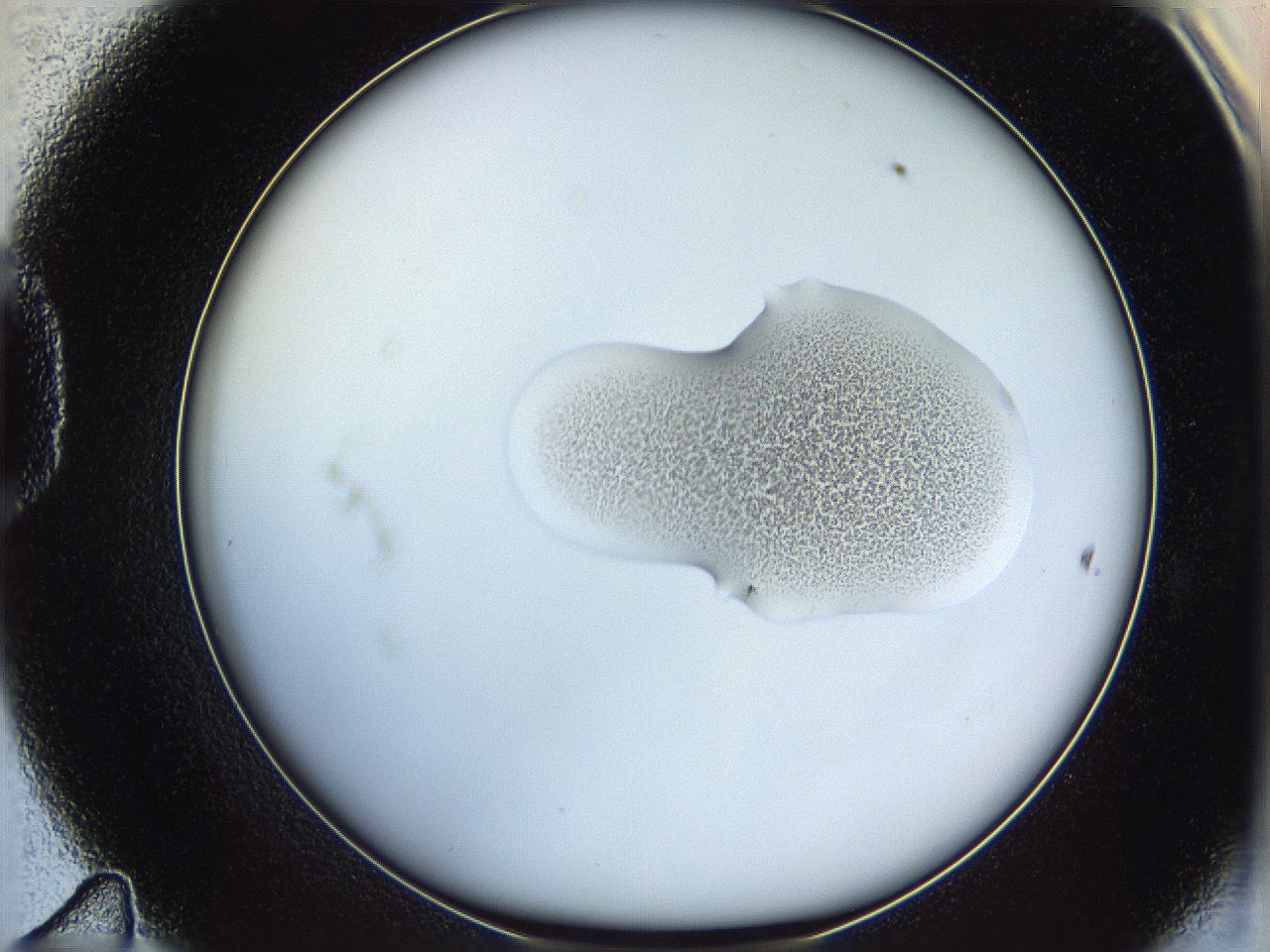 064f_D11_ImagerDefaults_1.jpg