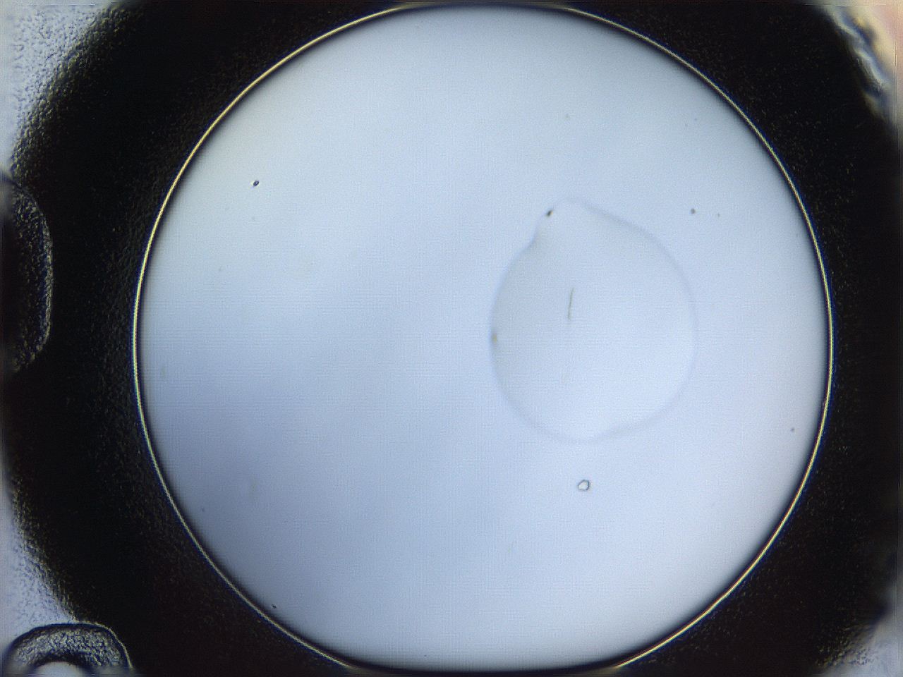 064f_D12_ImagerDefaults_0.jpg