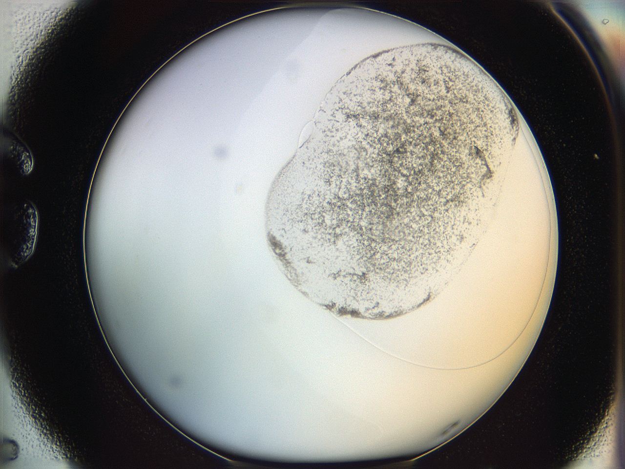 064f_G5_ImagerDefaults_1.jpg
