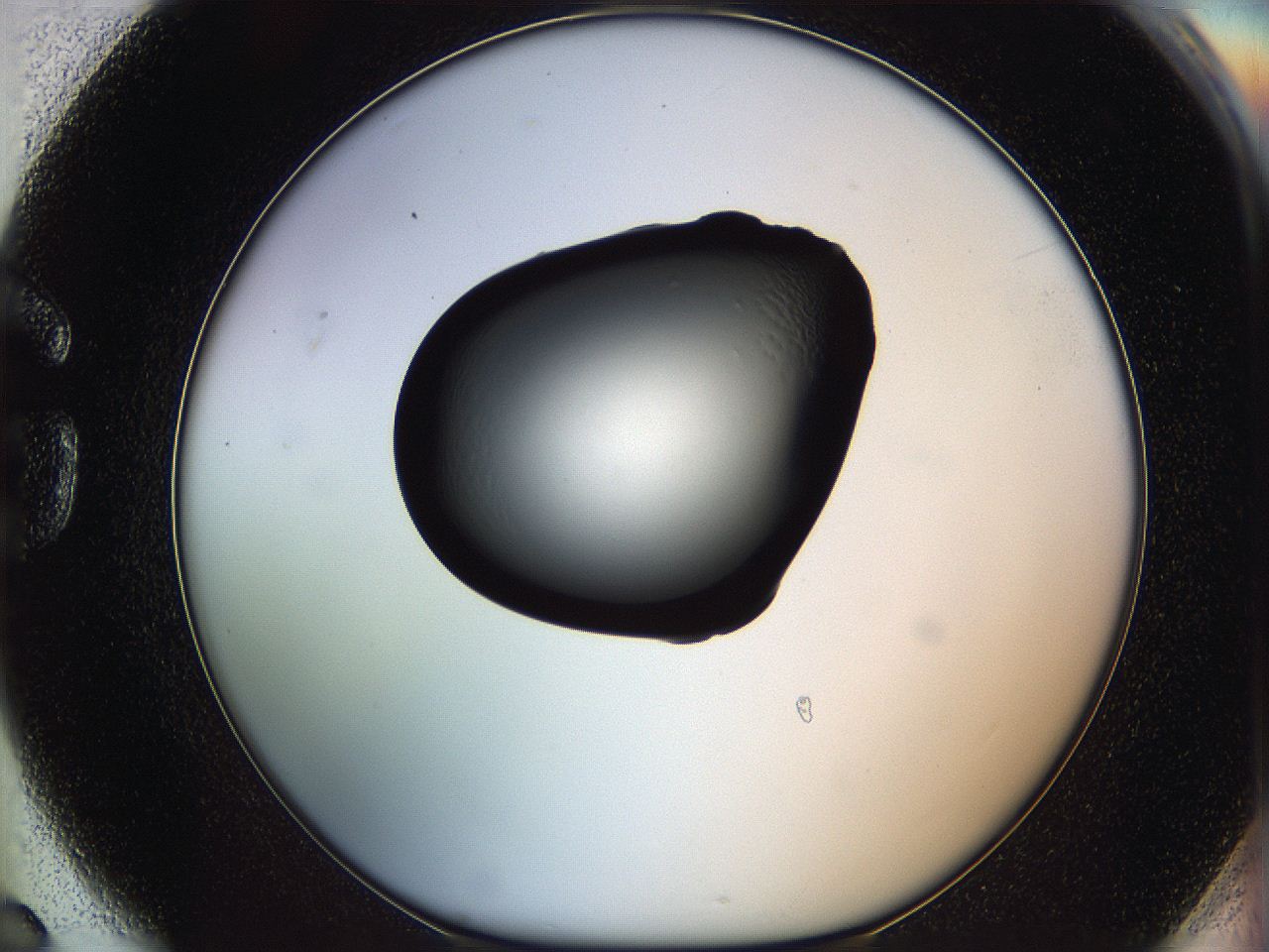 064f_G6_ImagerDefaults_0.jpg
