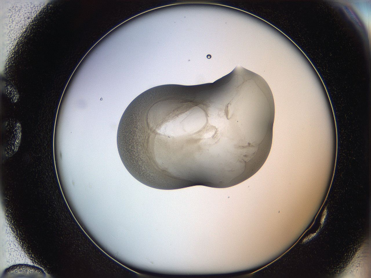 064f_G10_ImagerDefaults_3.jpg