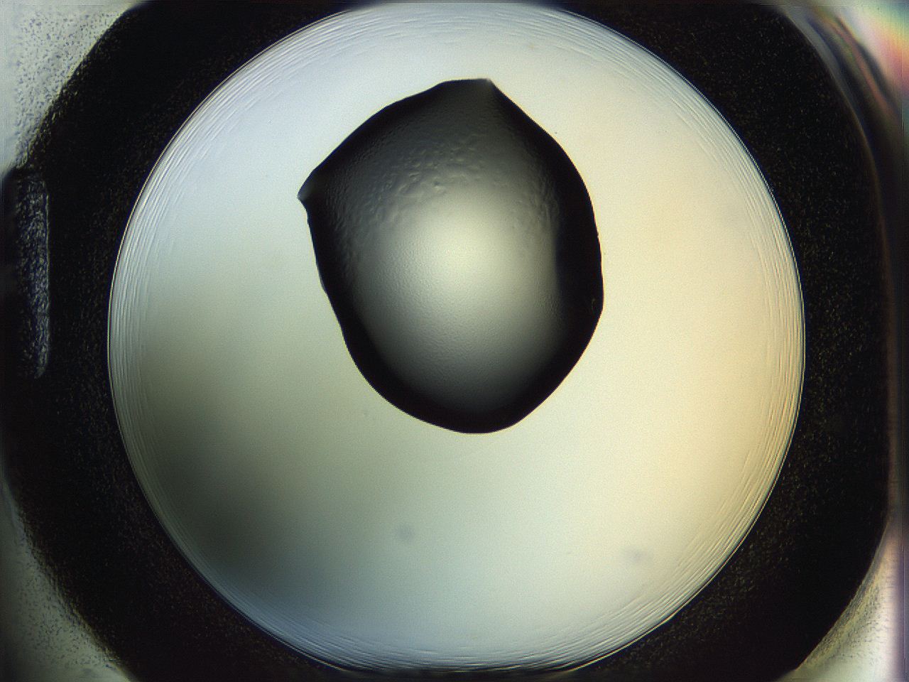 064f_H1_ImagerDefaults_0.jpg