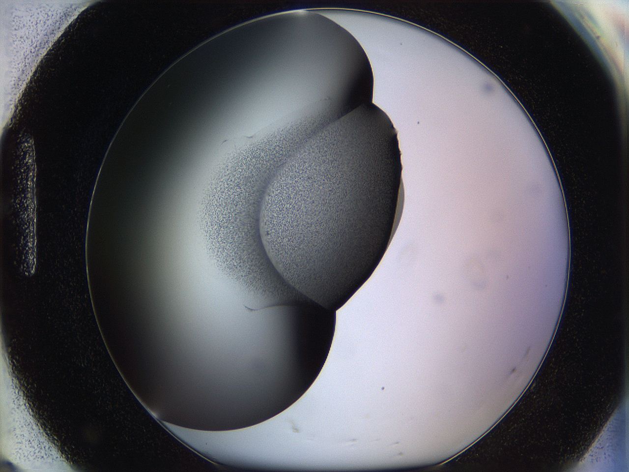 064f_H8_ImagerDefaults_1.jpg