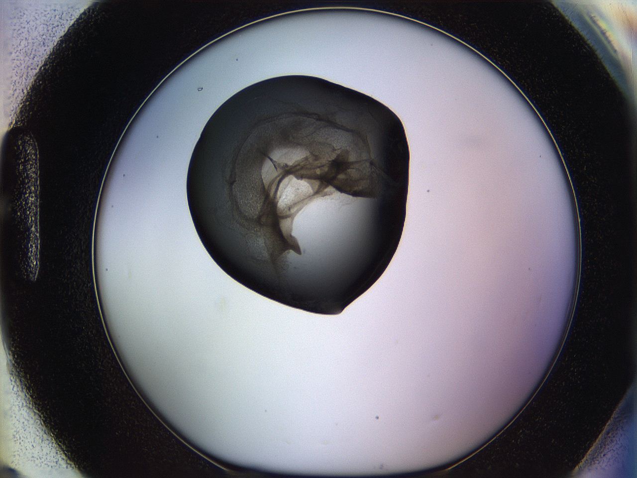 064f_H9_ImagerDefaults_3.jpg