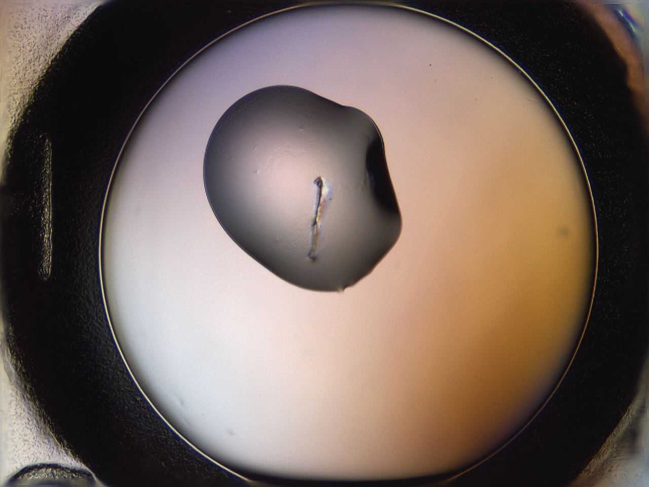 064f_H12_ImagerDefaults_6.jpg