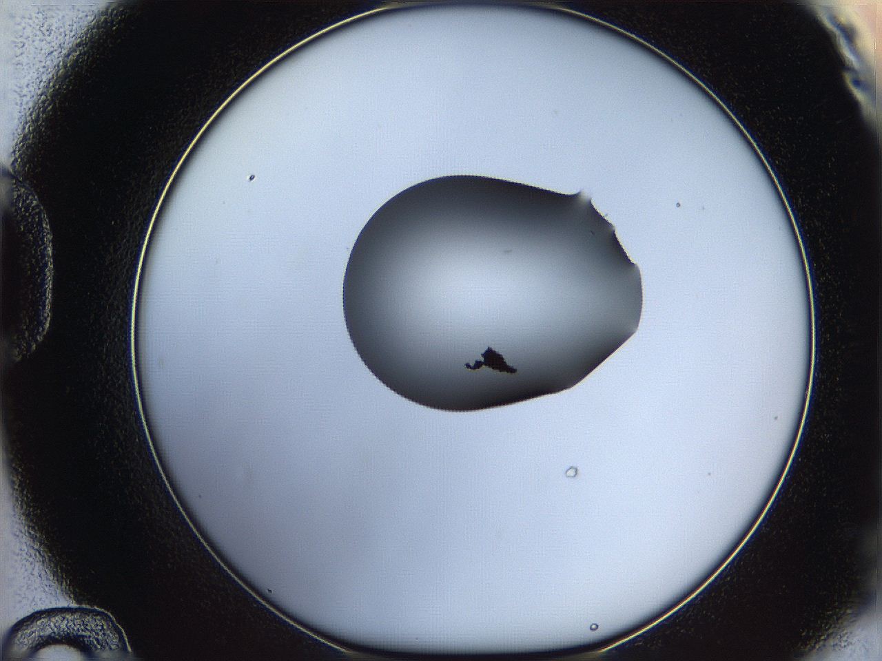 064g_D12_ImagerDefaults_0.jpg