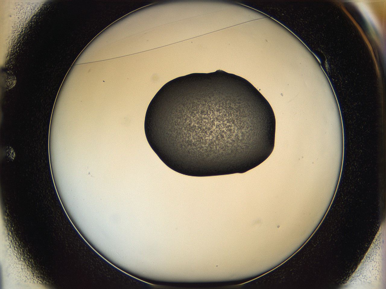 064g_E1_ImagerDefaults_3.jpg