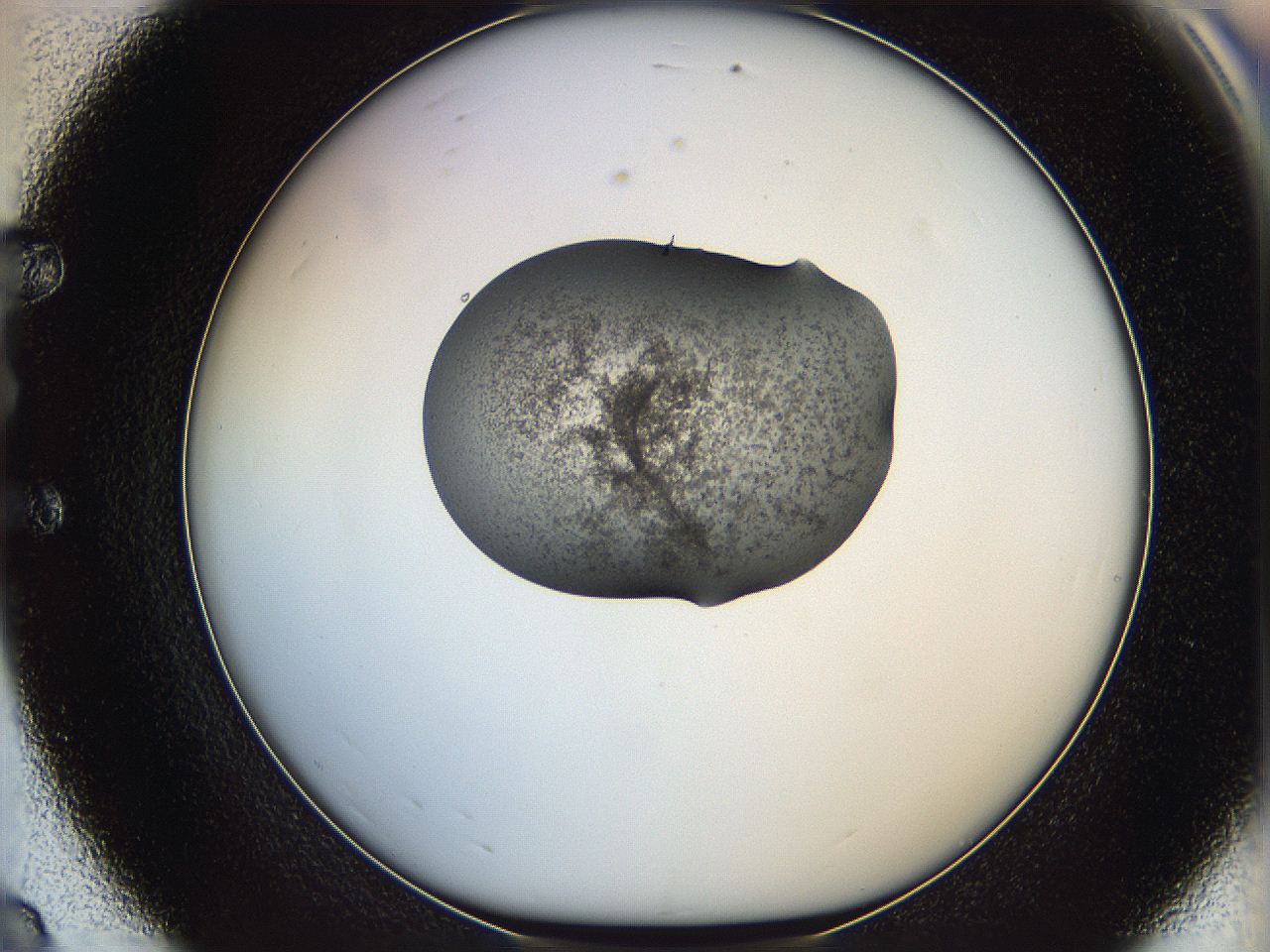 064g_E8_ImagerDefaults_3.jpg