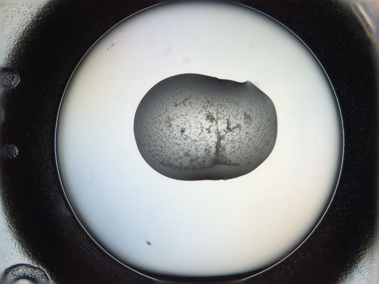 064g_E10_ImagerDefaults_3.jpg