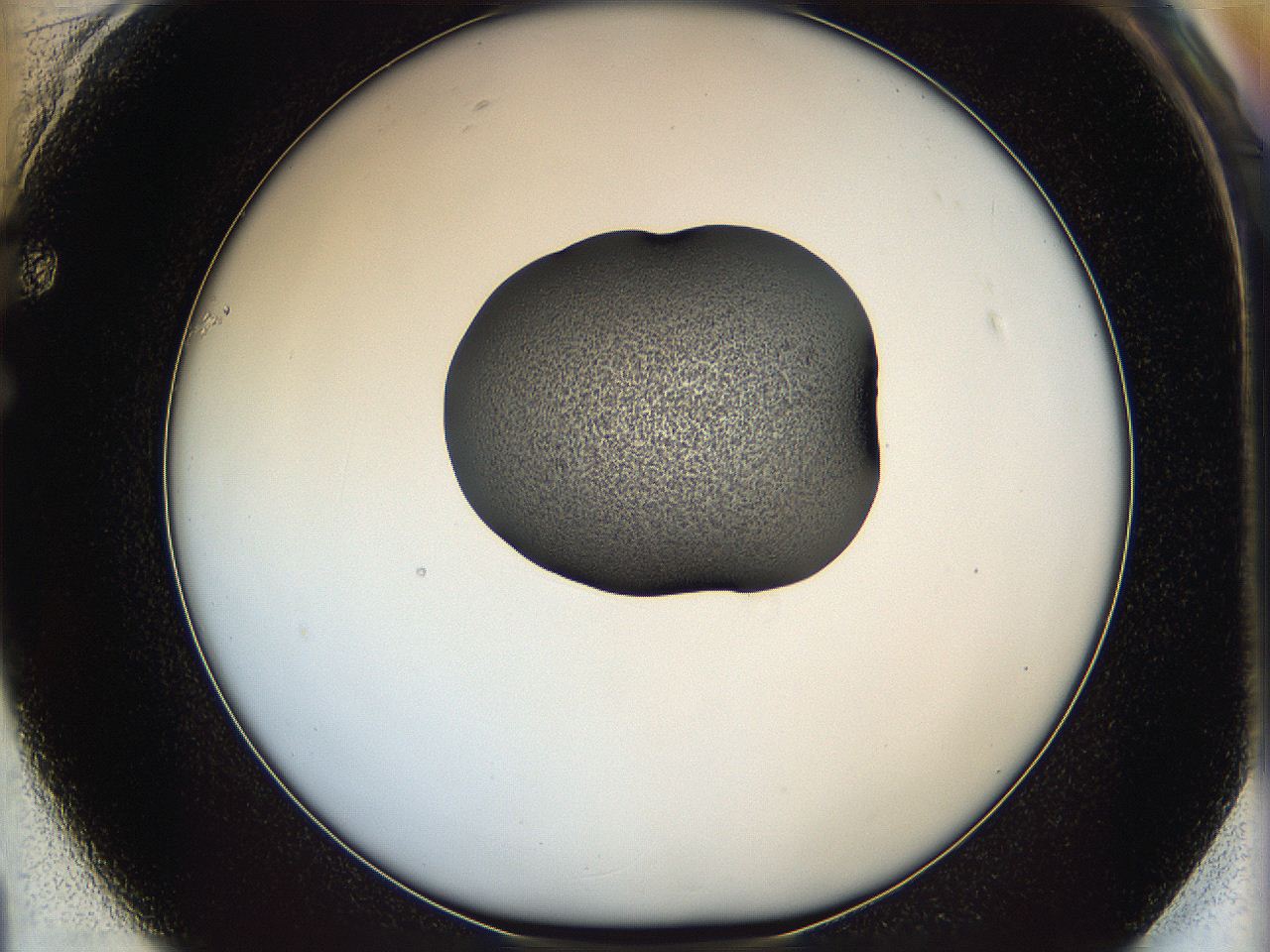 064g_F1_ImagerDefaults_3.jpg