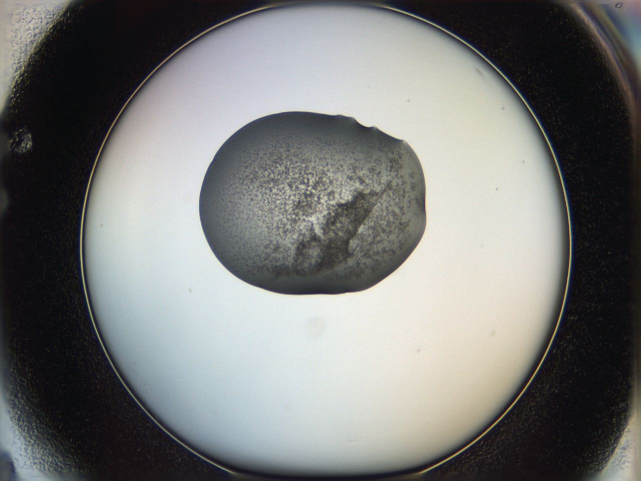 064g_F4_ImagerDefaults_3.jpg