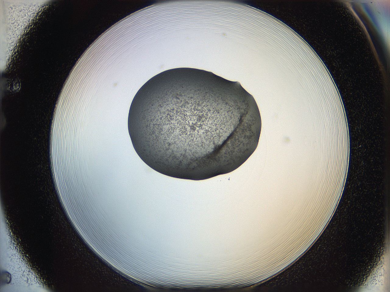 064g_F5_ImagerDefaults_3.jpg