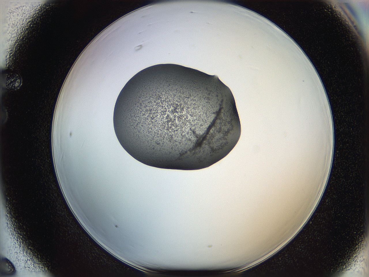 064g_F6_ImagerDefaults_3.jpg