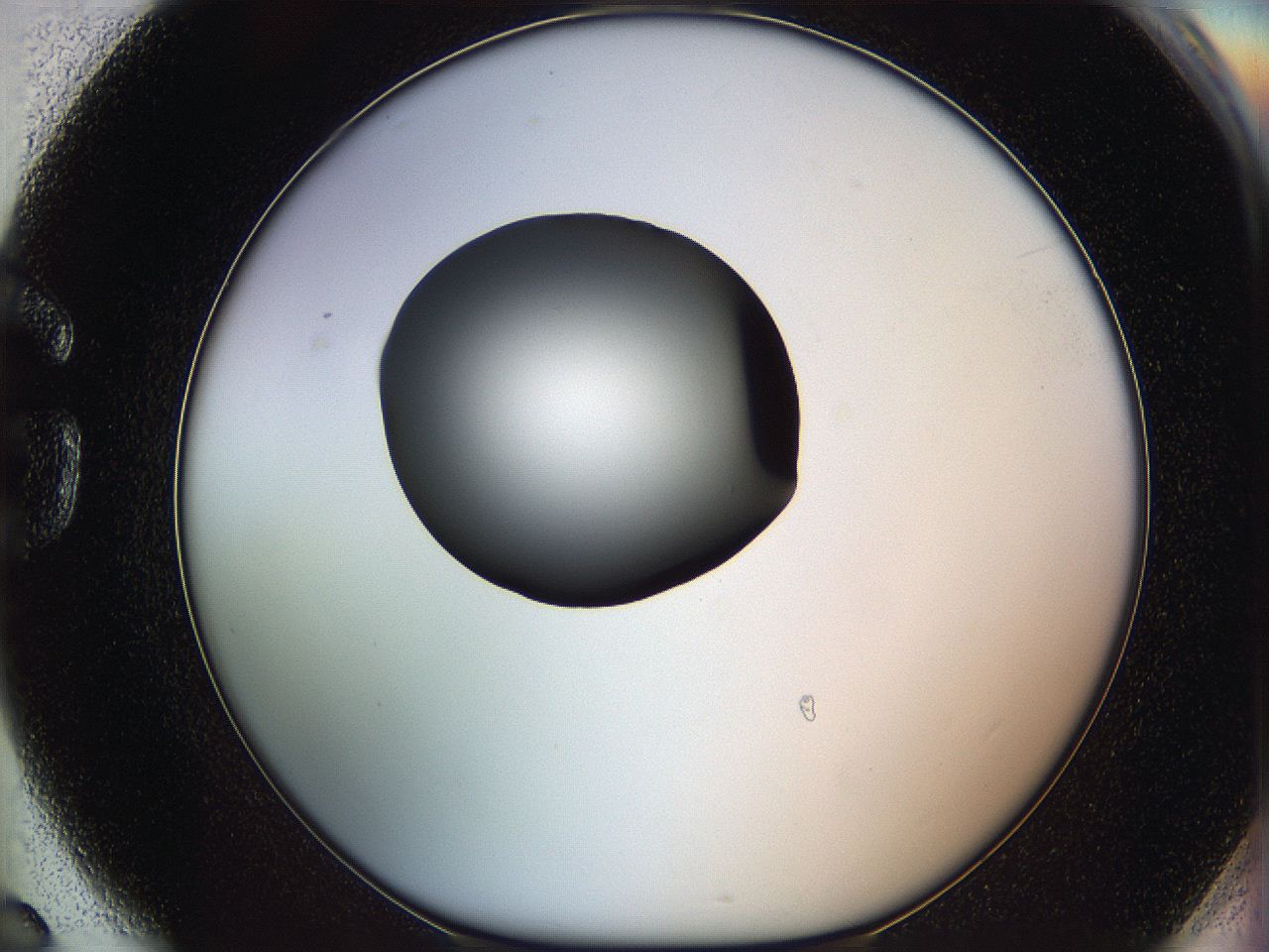 064g_G6_ImagerDefaults_0.jpg