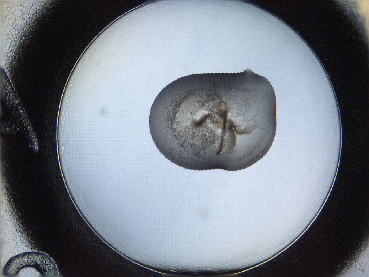 064g_A12_ImagerDefaults_3.jpg