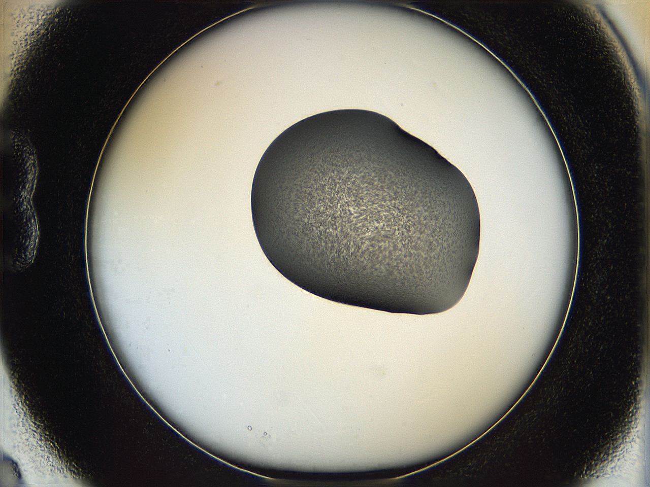 064g_B3_ImagerDefaults_3.jpg