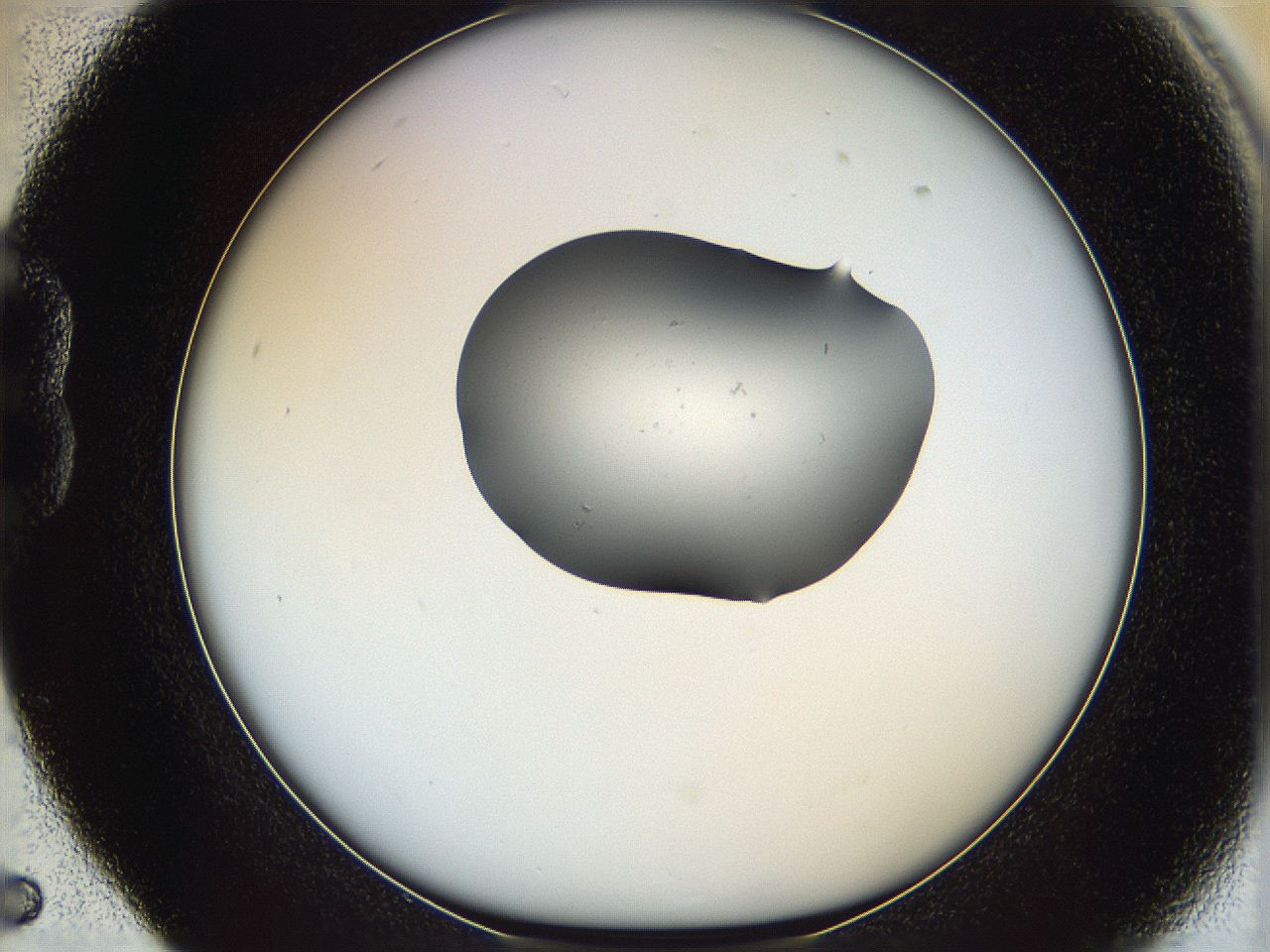 064g_B5_ImagerDefaults_0.jpg