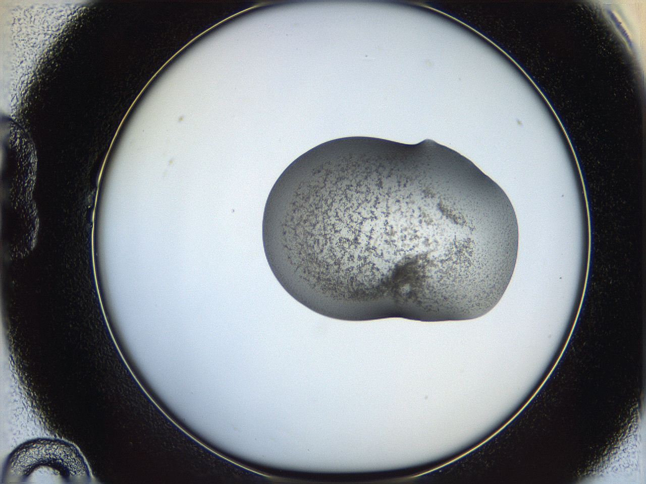 064g_B10_ImagerDefaults_3.jpg