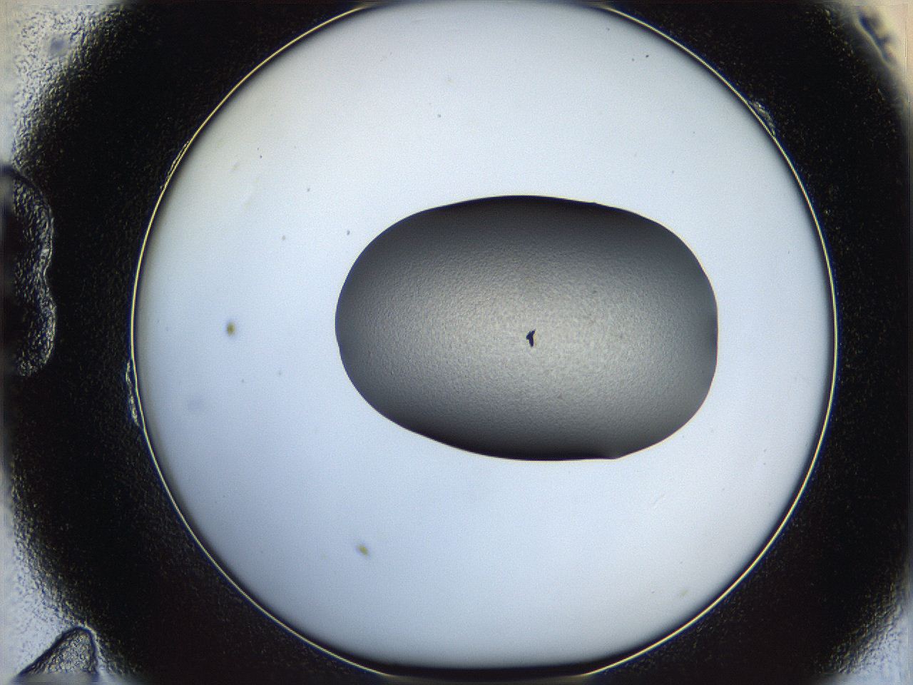 064g_B11_ImagerDefaults_1.jpg
